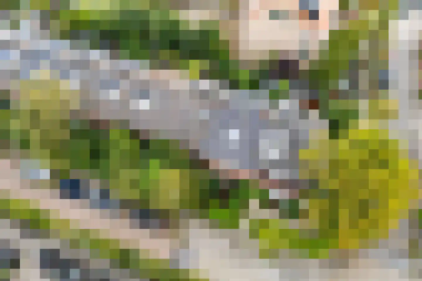 Albrecht Thaerlaan 57 Utrecht thumbnail 35