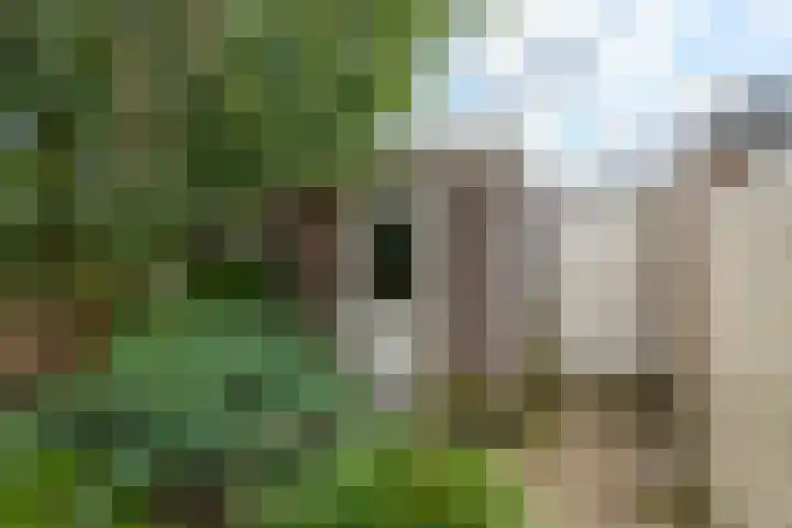 Albrecht Thaerlaan 63 Utrecht thumbnail 12