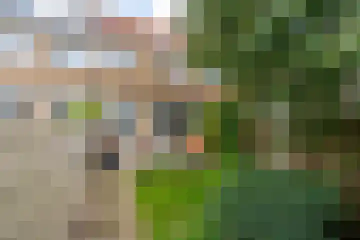 Albrecht Thaerlaan 63 Utrecht thumbnail 13