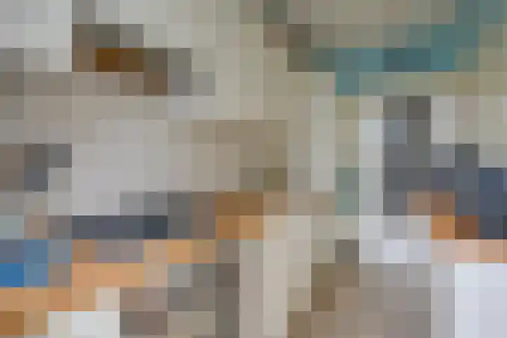 Albrecht Thaerlaan 63 Utrecht thumbnail 15