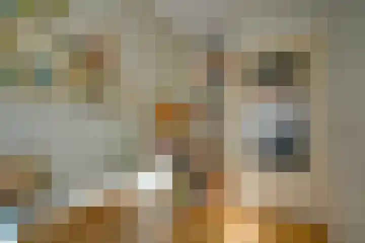 Albrecht Thaerlaan 63 Utrecht thumbnail 18
