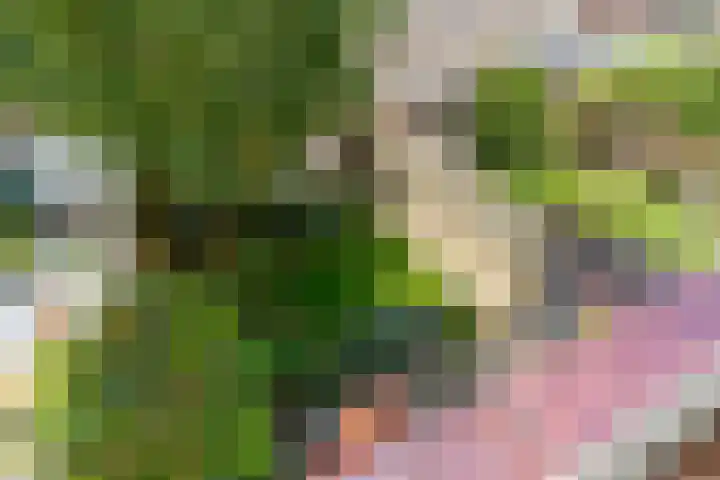Albrecht Thaerlaan 63 Utrecht thumbnail 22