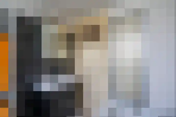 Albrecht Thaerlaan 63 Utrecht thumbnail 27
