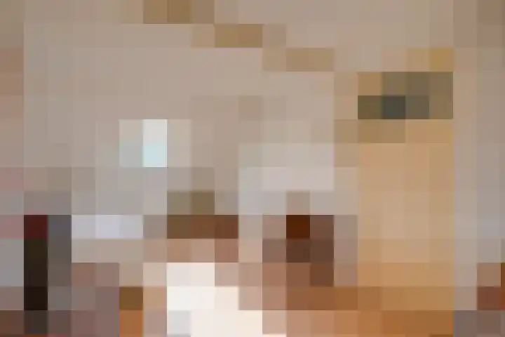 Albrecht Thaerlaan 63 Utrecht thumbnail 32