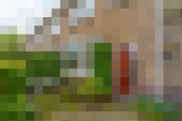 Albrecht Thaerlaan 63 Utrecht thumbnail 34
