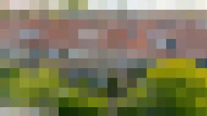 Albrecht Thaerlaan 63 Utrecht thumbnail 36