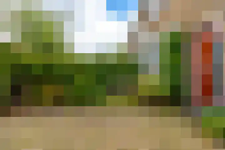 Albrecht Thaerlaan 63 Utrecht thumbnail 5