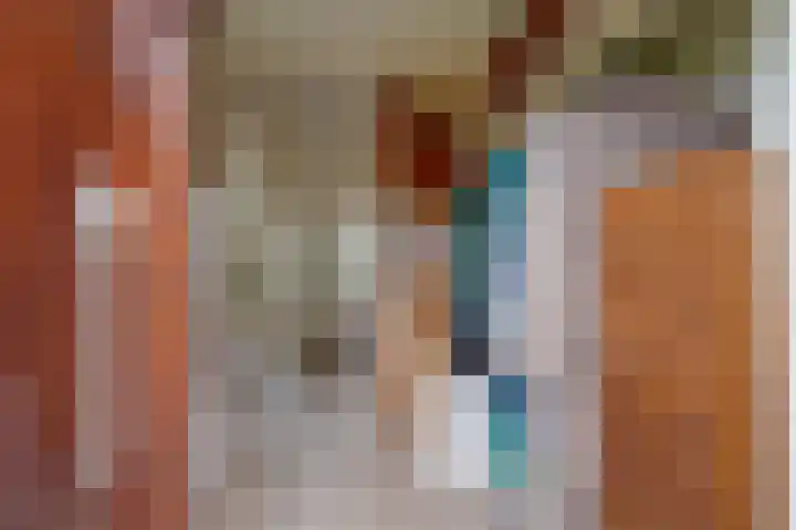 Albrecht Thaerlaan 63 Utrecht thumbnail 6
