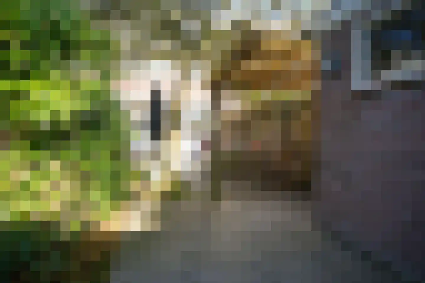 Albrecht Thaerlaan 72 Utrecht thumbnail 43