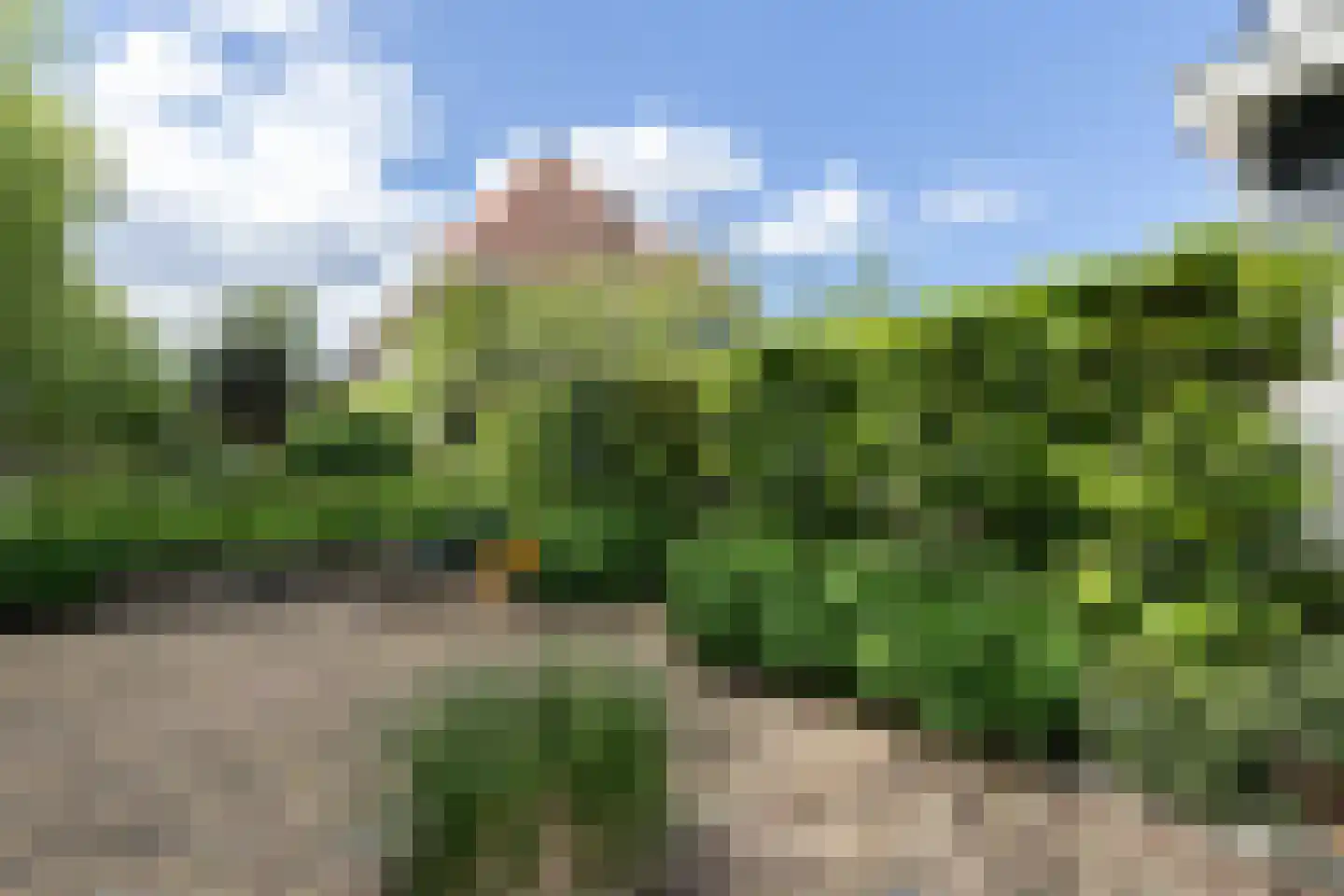 Albrechtplein 43 Sliedrecht thumbnail 59