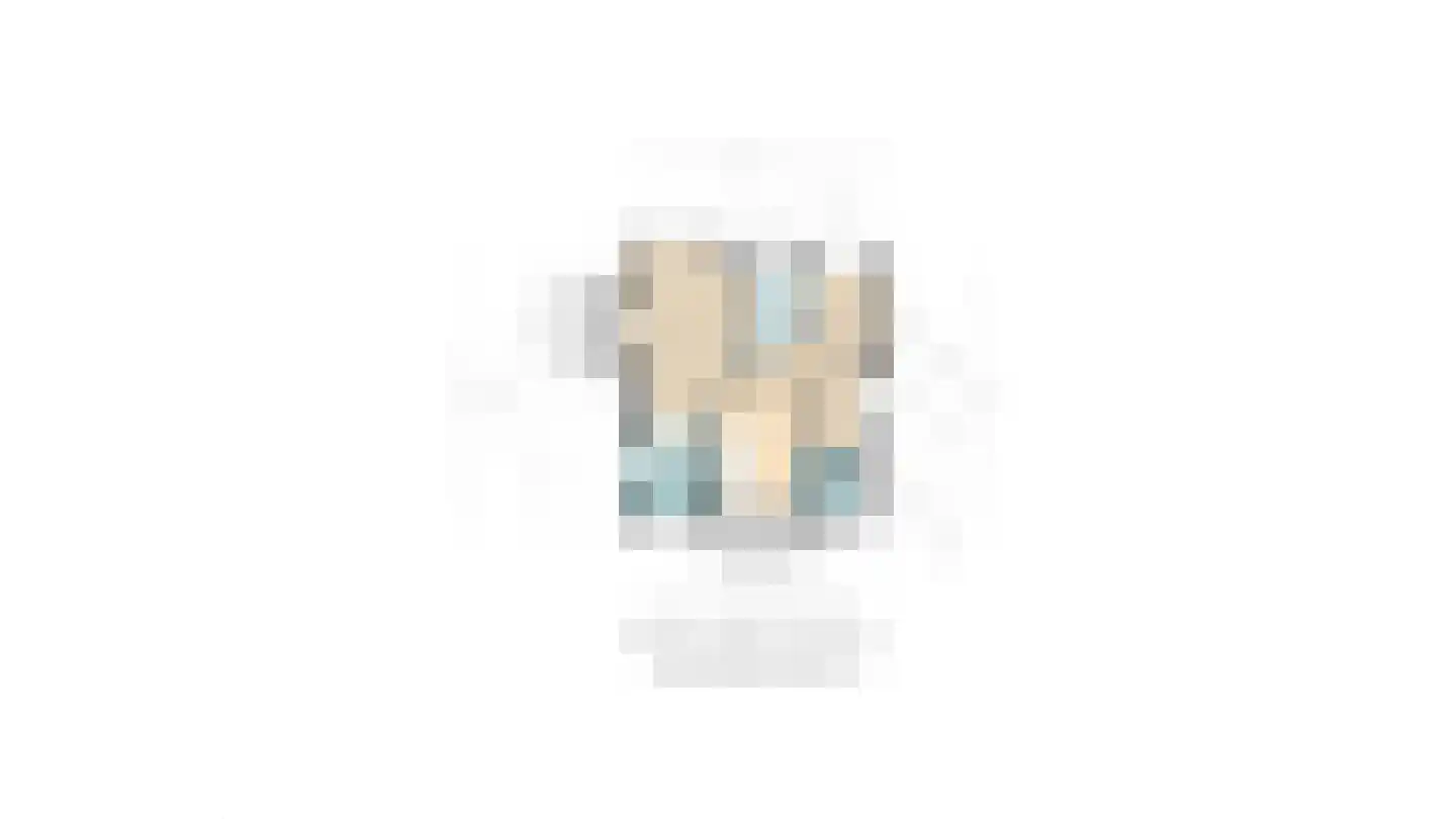 Albrechtplein 43 Sliedrecht thumbnail 68