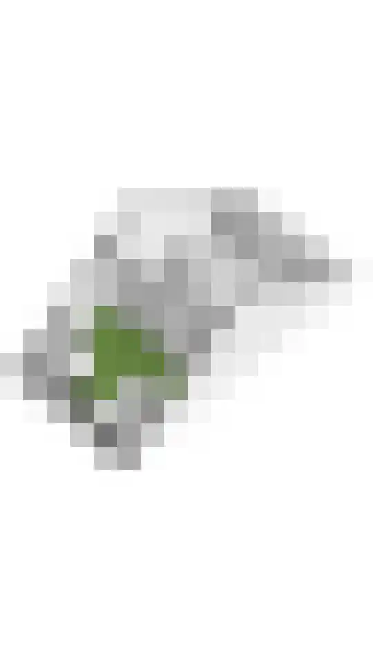 Albrechtshof 14 Meteren thumbnail 37