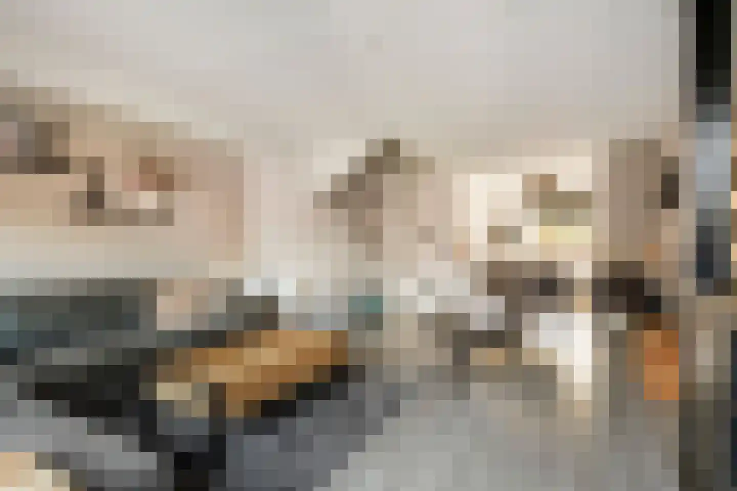 Albrechtshof 20 Meteren thumbnail 13
