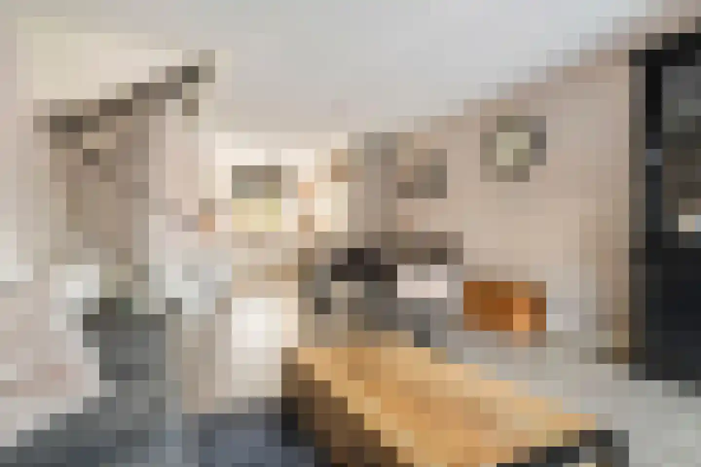 Albrechtshof 20 Meteren thumbnail 14