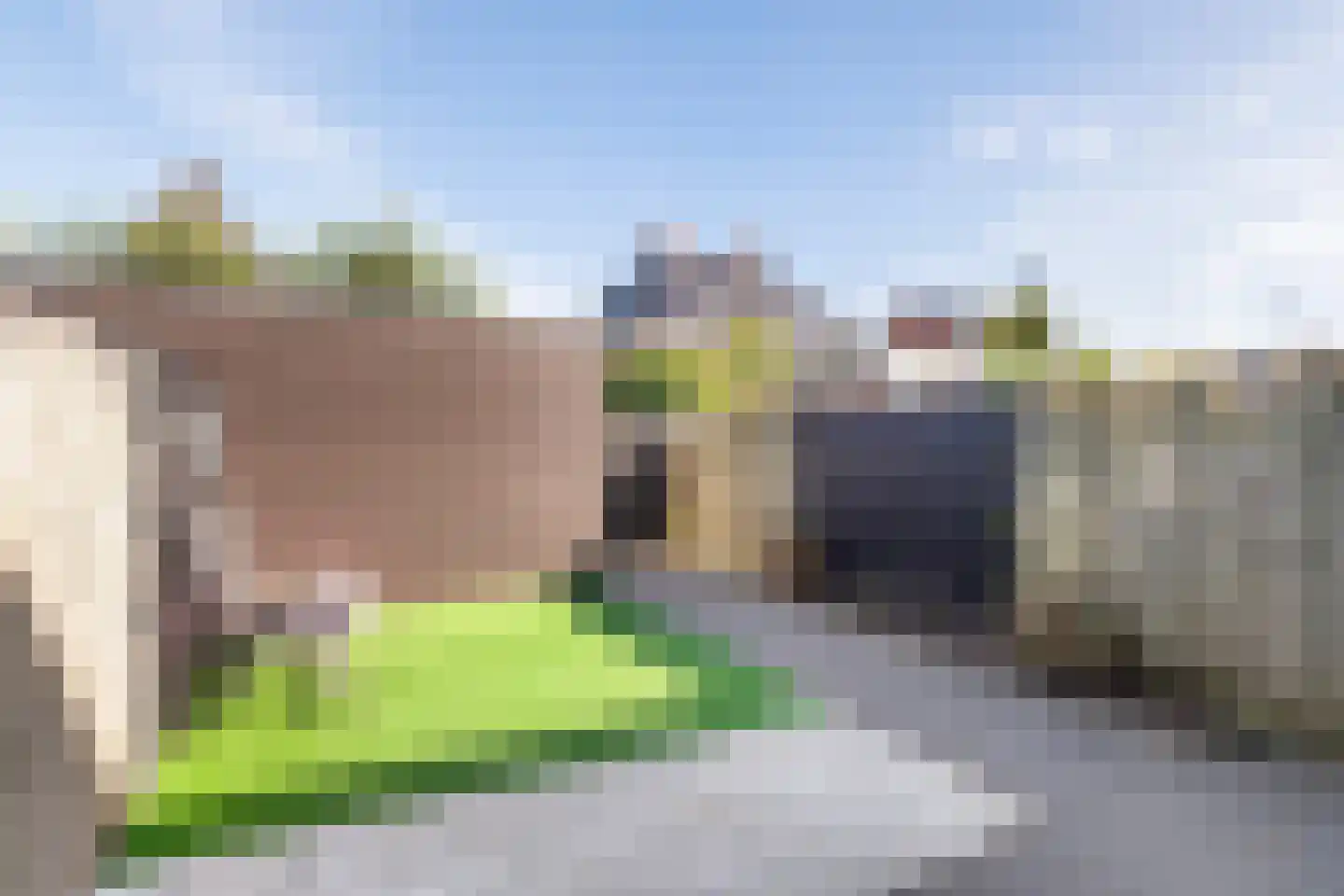 Albrechtshof 20 Meteren thumbnail 25