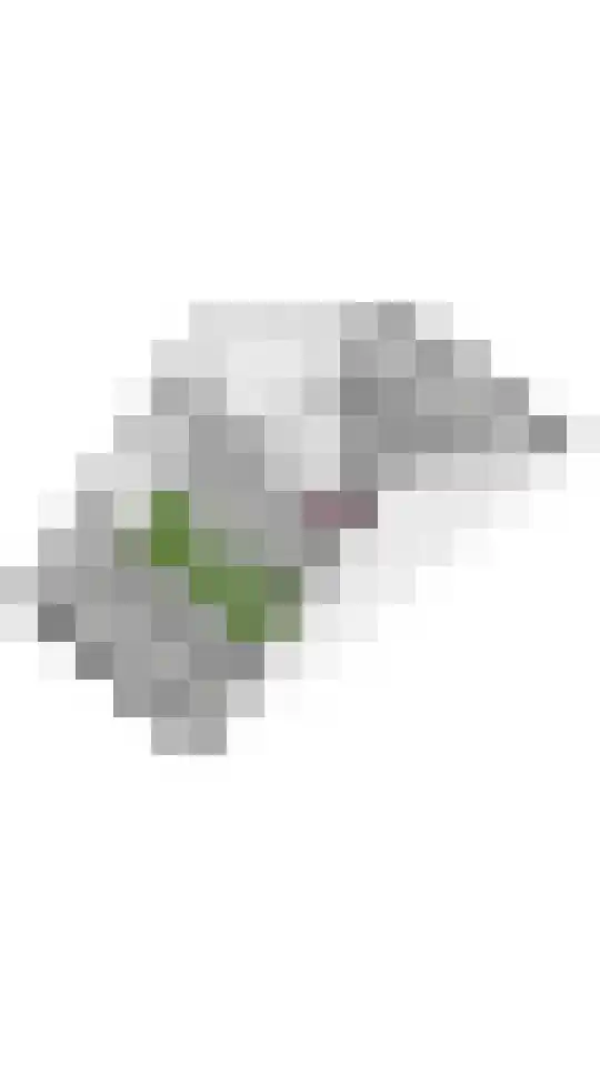 Albrechtshof 20 Meteren thumbnail 34