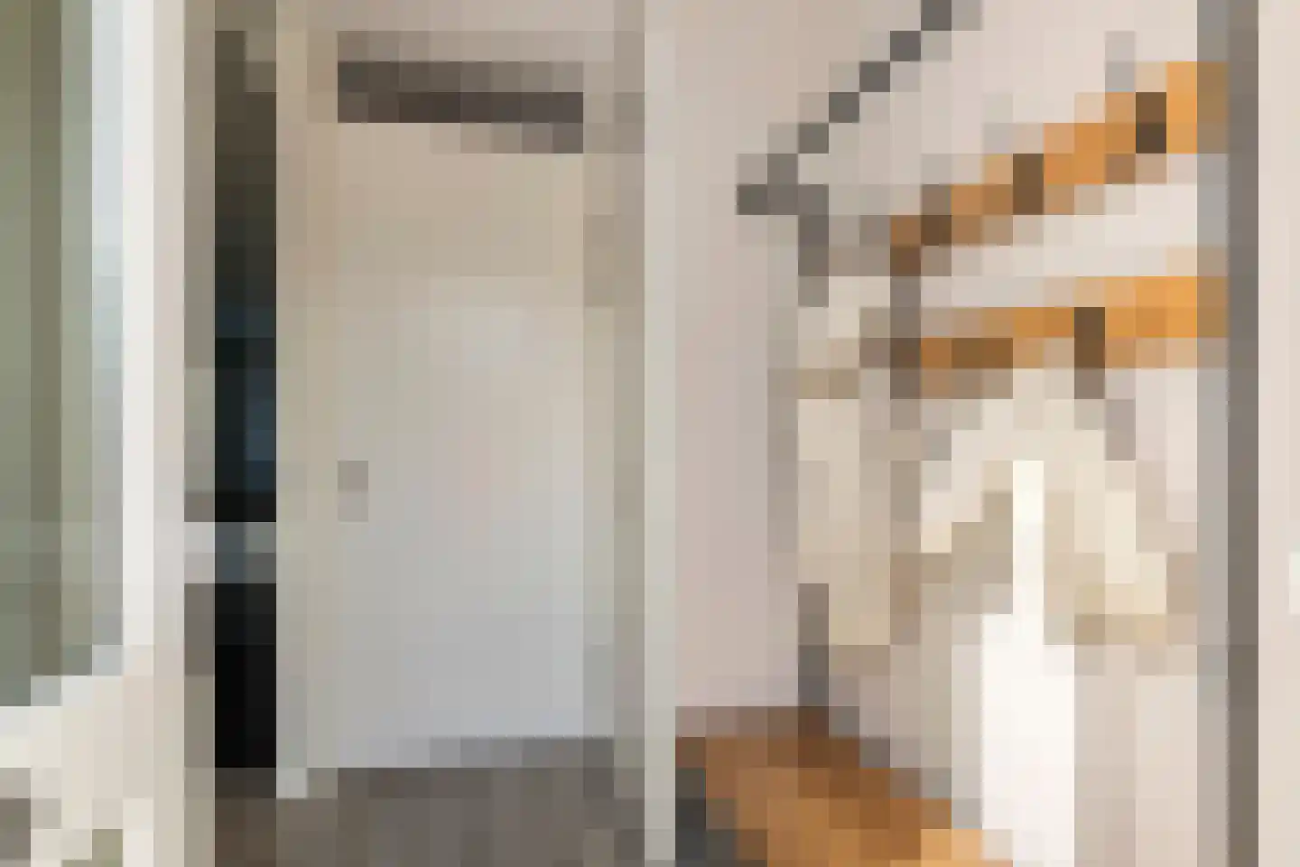 Albrechtshof 20 Meteren thumbnail 5