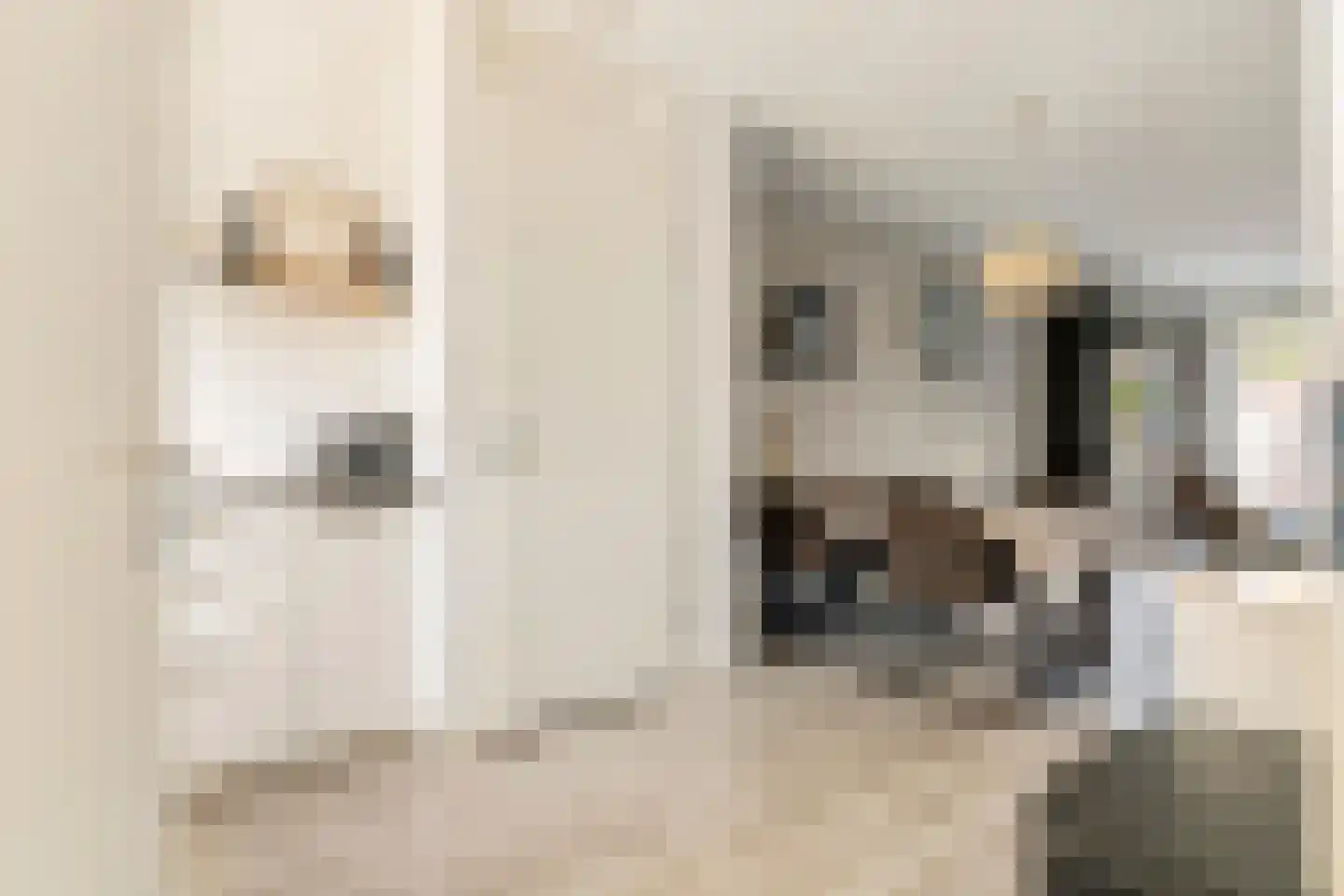 Albrechtshof 20 Meteren thumbnail 7