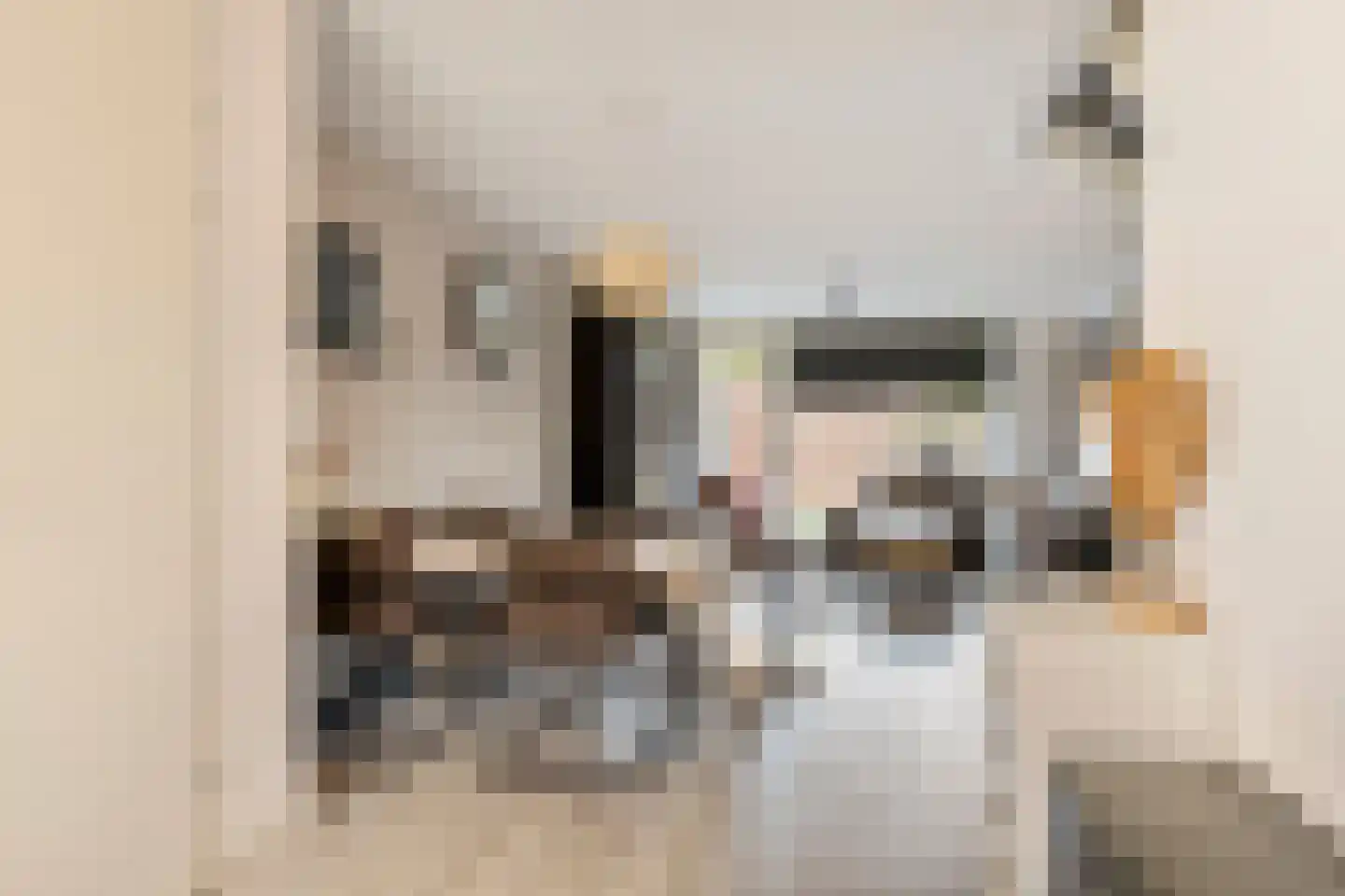 Albrechtshof 20 Meteren thumbnail 9