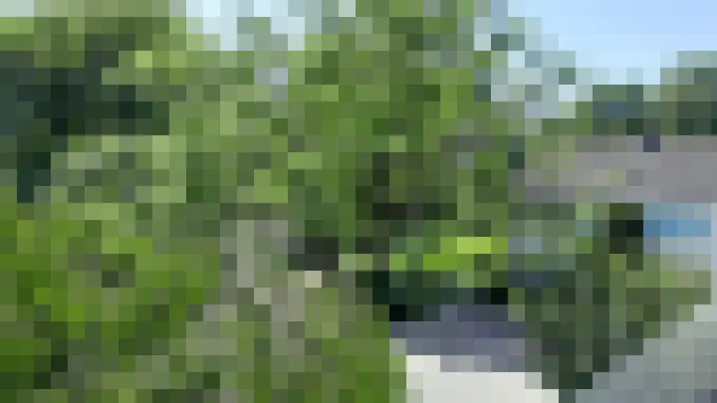 Albrechtstraat 30 Kudelstaart thumbnail 33