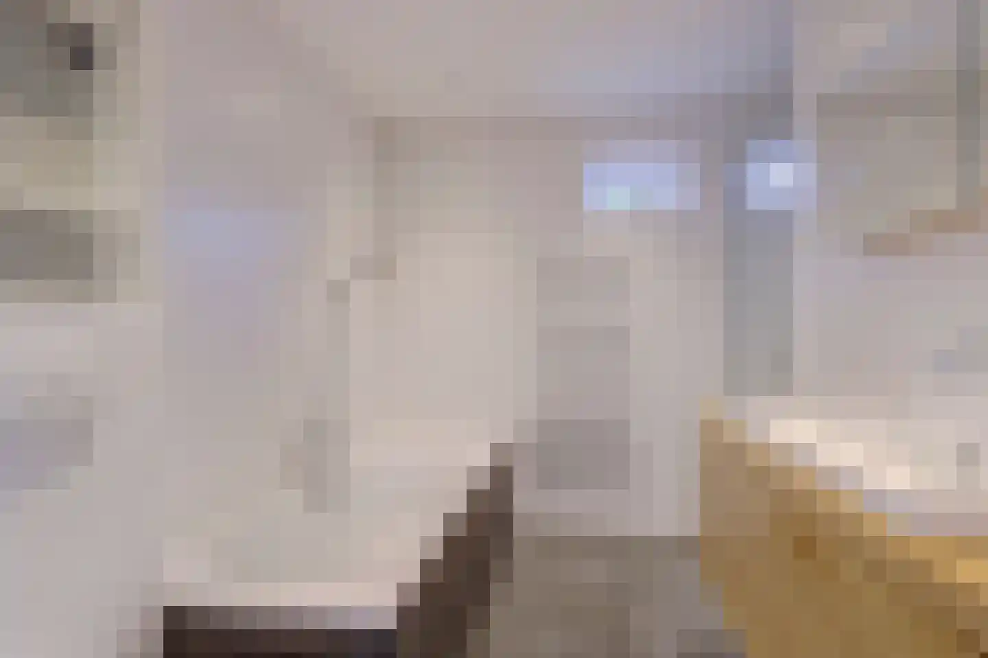 Albrechtsveld 102 Gouda foto 2