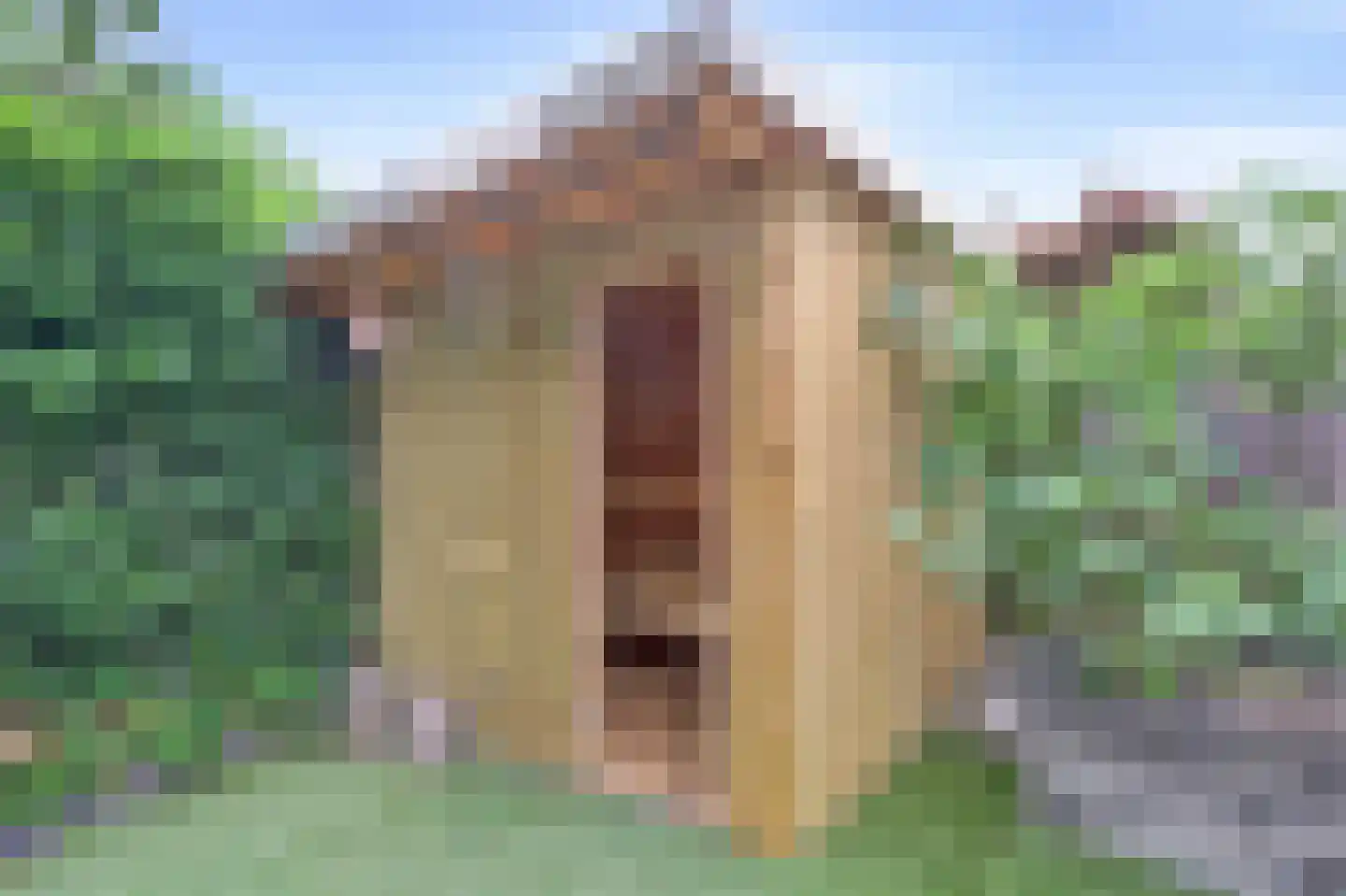 Albrechtsveld 102 Gouda thumbnail 38