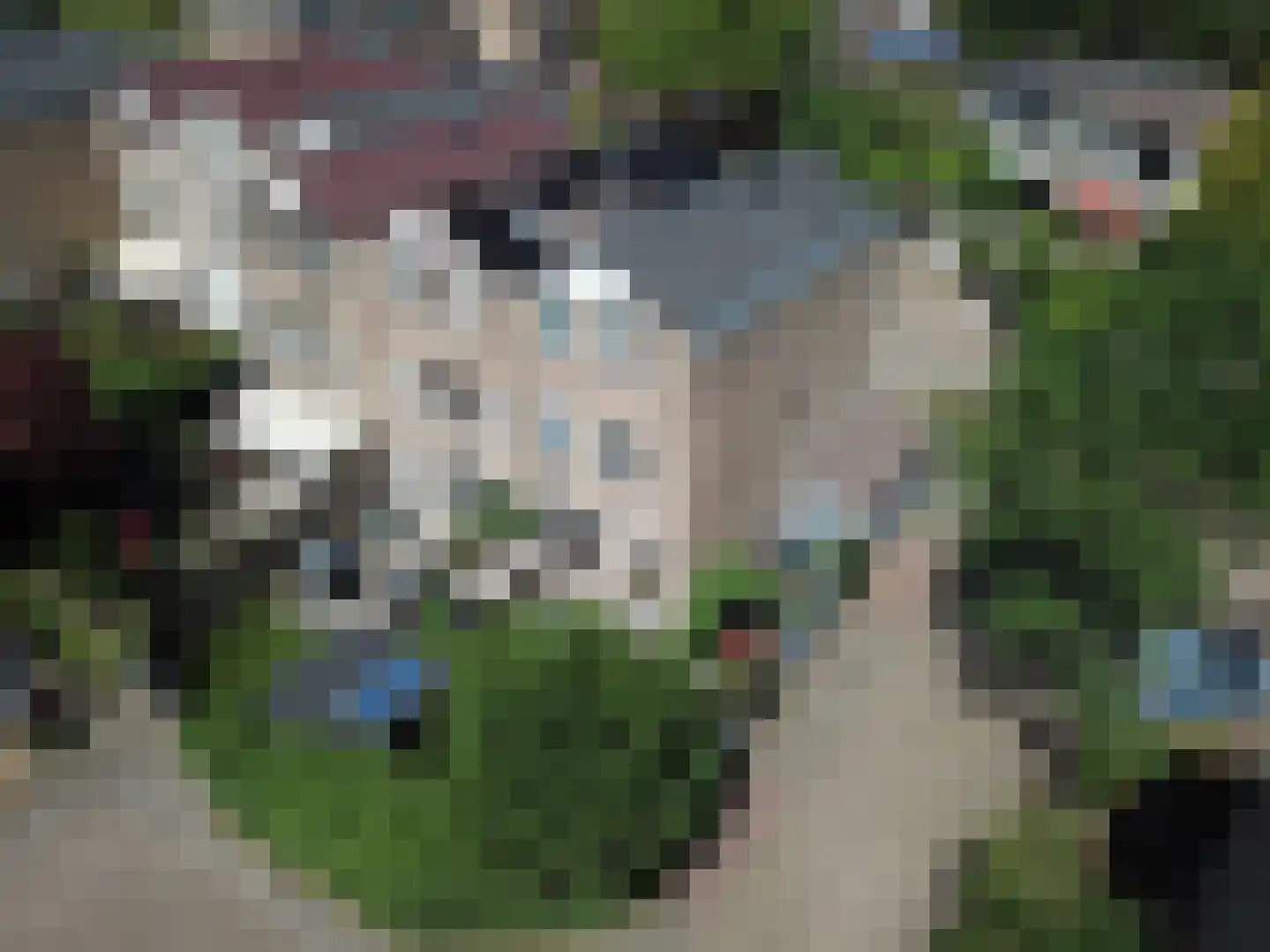 Albrechtsveld 102 Gouda thumbnail 47
