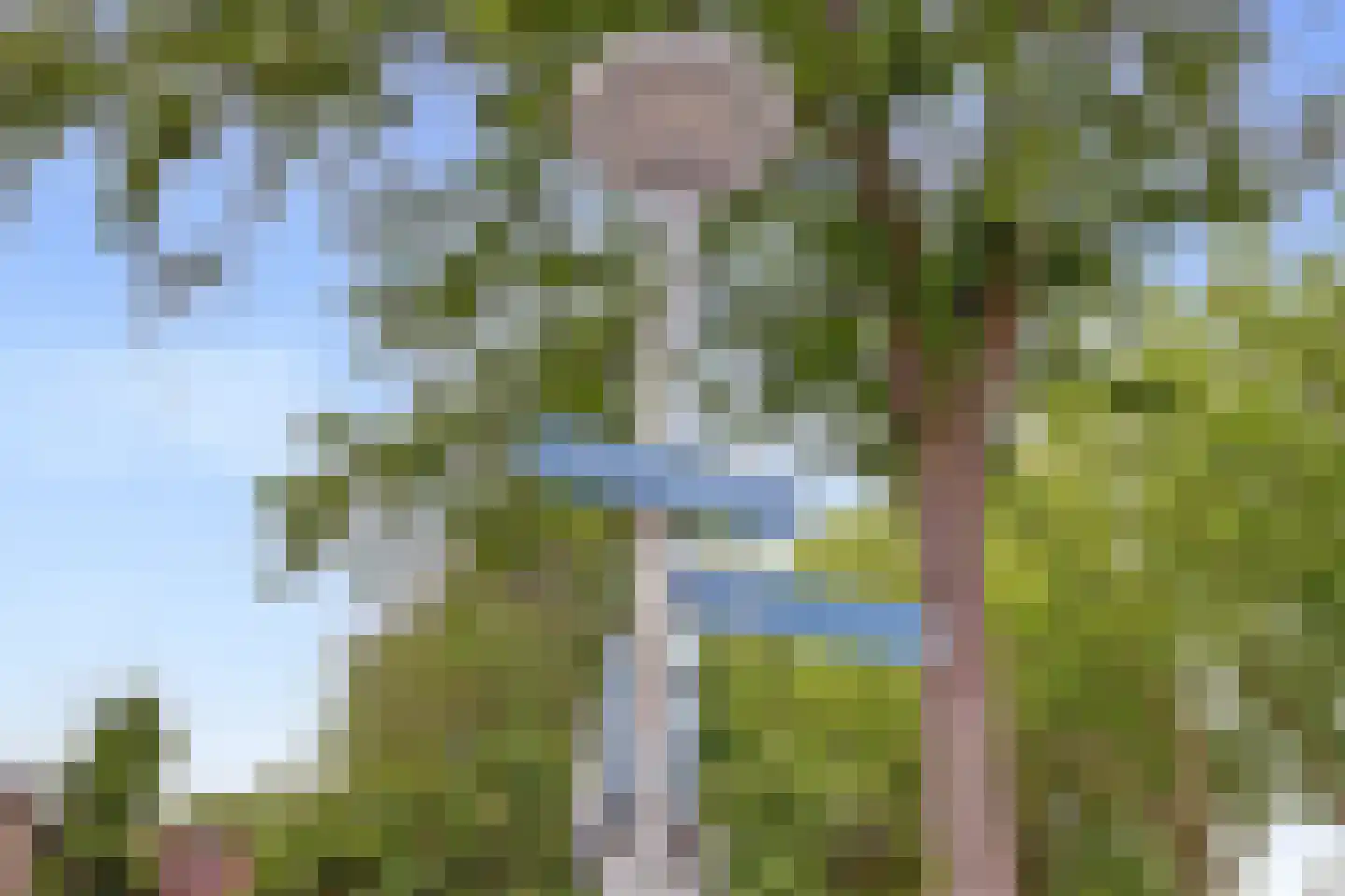 Albrechtsveld 102 Gouda thumbnail 6