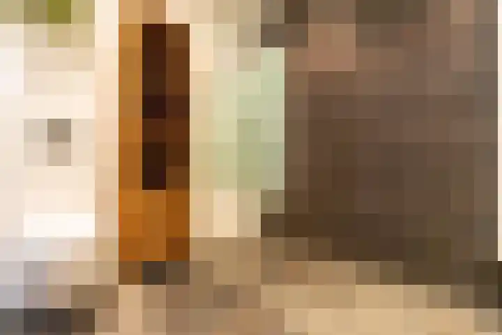 Albrechtsveld 44 Gouda thumbnail 22