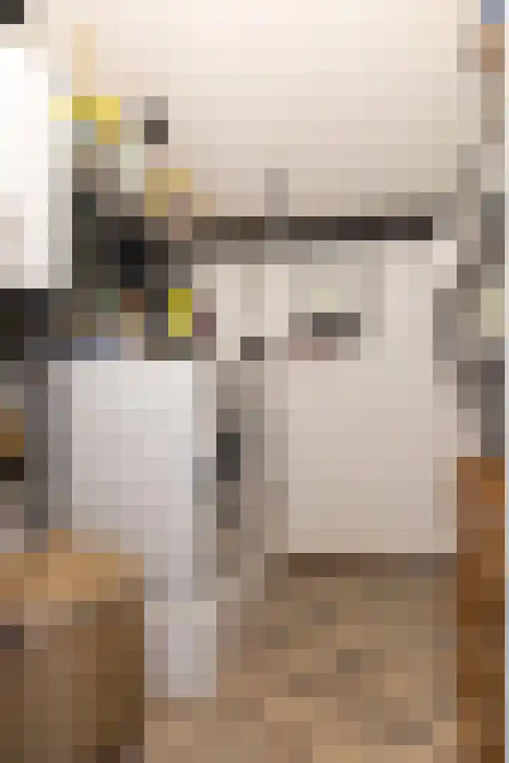 Albrechtsveld 44 Gouda thumbnail 32