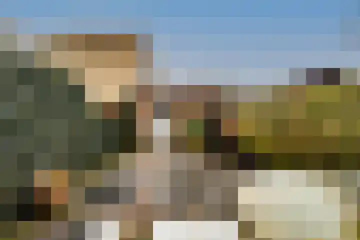 Albrechtsveld 44 Gouda thumbnail 36