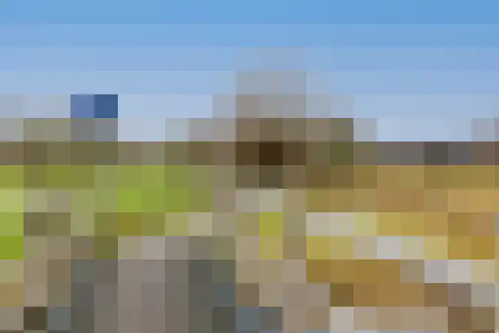 Albrechtsveld 44 Gouda thumbnail 39