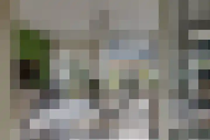 Albrechtsveld 44 Gouda thumbnail 8