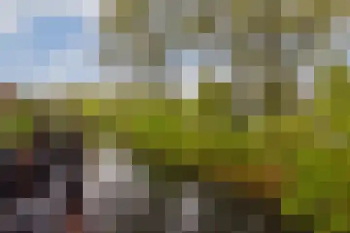 Albrechtsveld 52 Gouda thumbnail 31