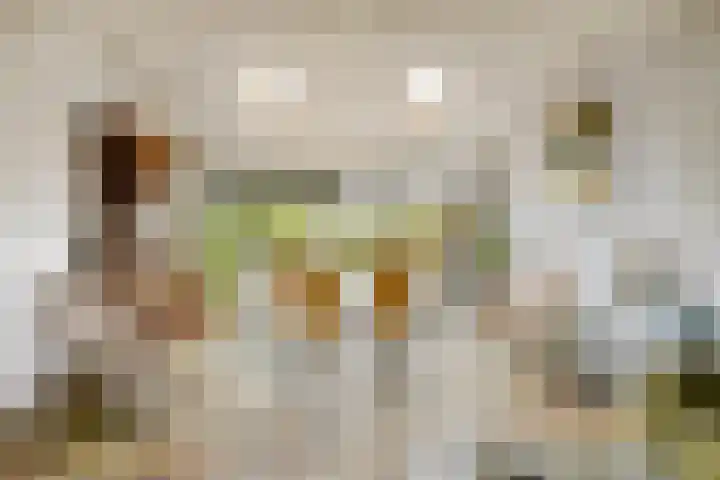 Albrechtsveld 52 Gouda thumbnail 7