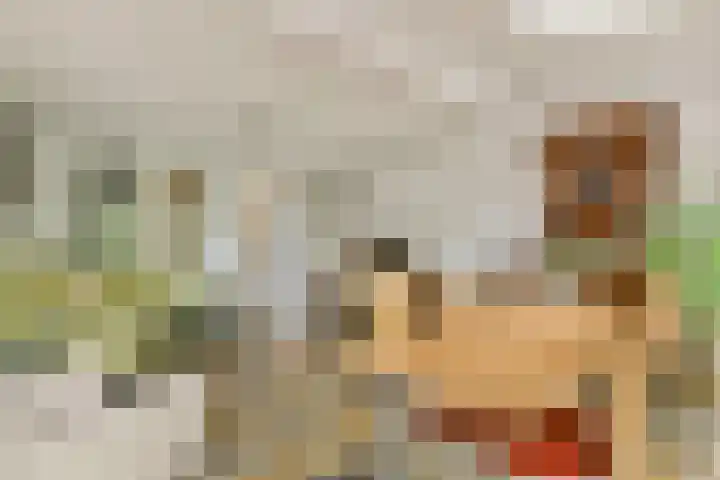 Albrechtsveld 52 Gouda thumbnail 8