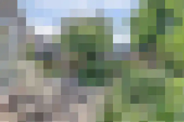 Albrechtsveld 56 Gouda thumbnail 34
