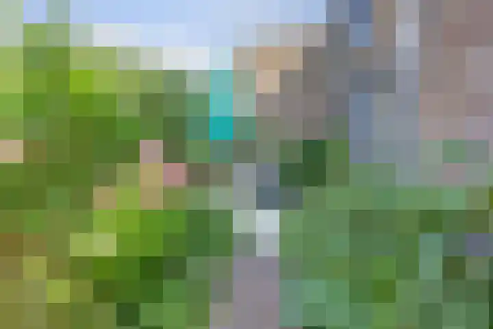 Albrechtsveld 56 Gouda thumbnail 35