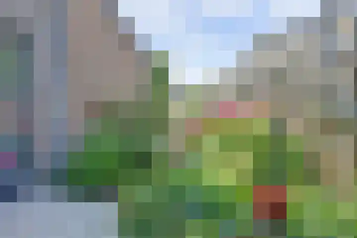Albrechtsveld 56 Gouda thumbnail 37