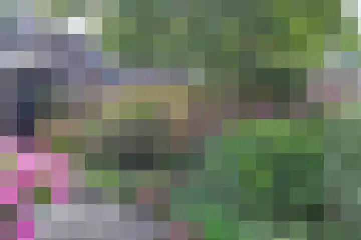 Albrechtsveld 56 Gouda thumbnail 38