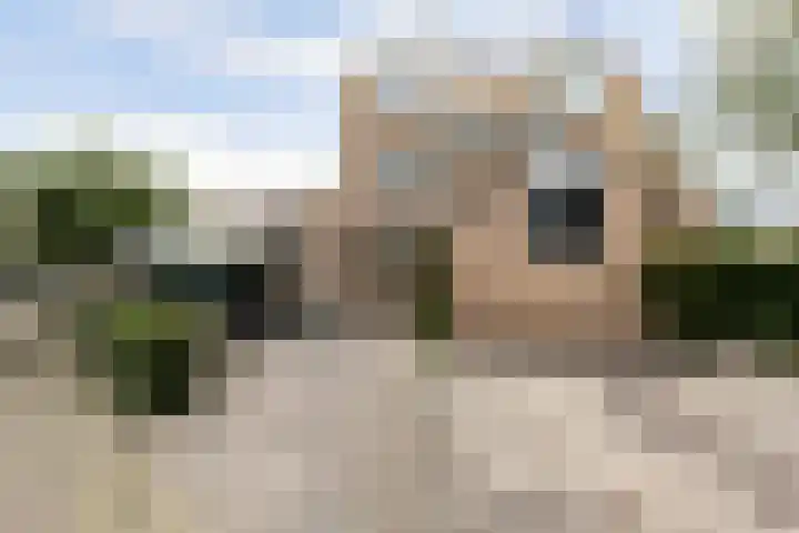 Albrechtsveld 56 Gouda thumbnail 4