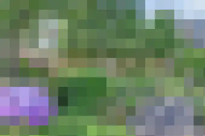 Albrechtsveld 56 Gouda thumbnail 40