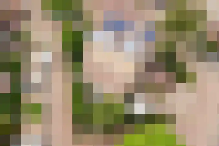 Albrechtsveld 56 Gouda thumbnail 41
