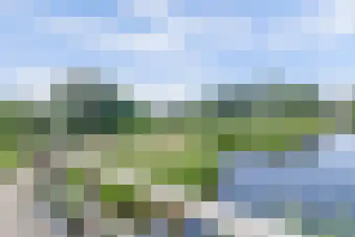 Albrechtsveld 56 Gouda thumbnail 43