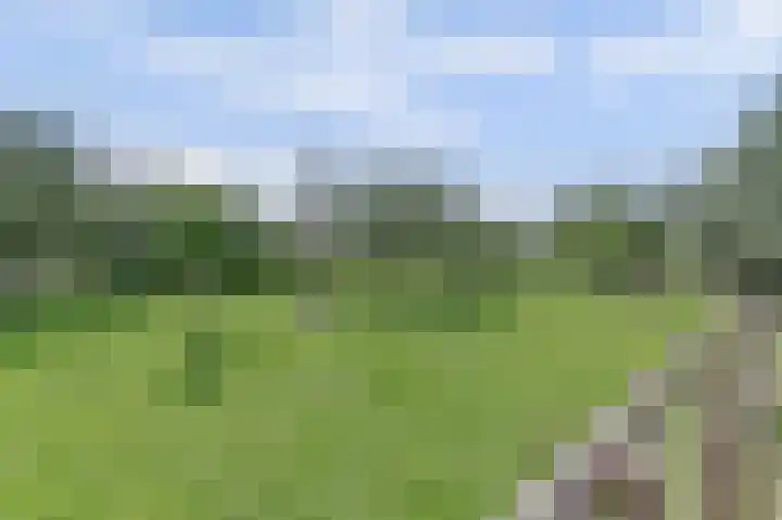 Albrechtsveld 56 Gouda thumbnail 44