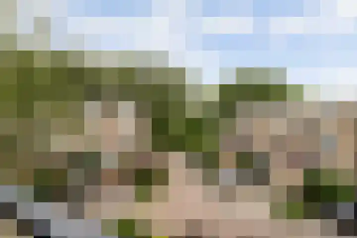 Albrechtsveld 56 Gouda thumbnail 47