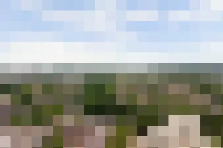 Albrechtsveld 56 Gouda thumbnail 48