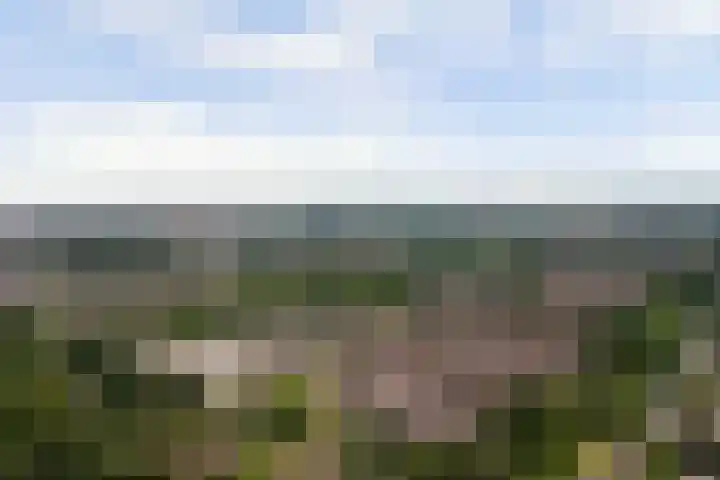 Albrechtsveld 56 Gouda thumbnail 49