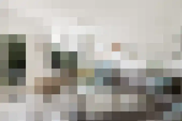 Albrechtsveld 56 Gouda thumbnail 8