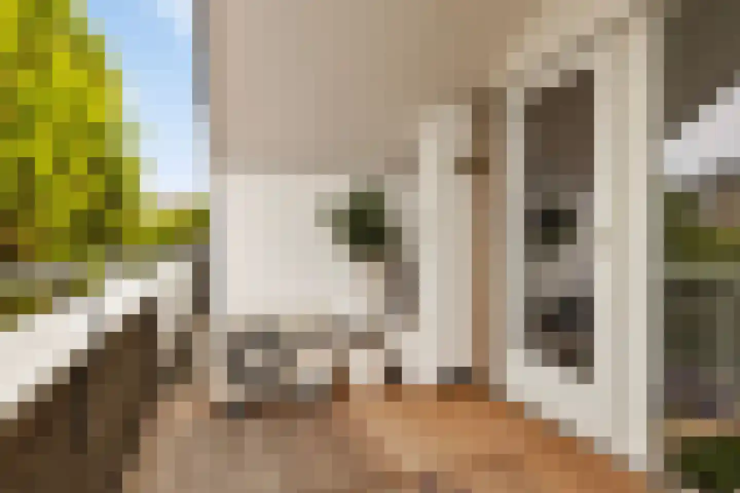 Albrechtsveld 72 Gouda thumbnail 20